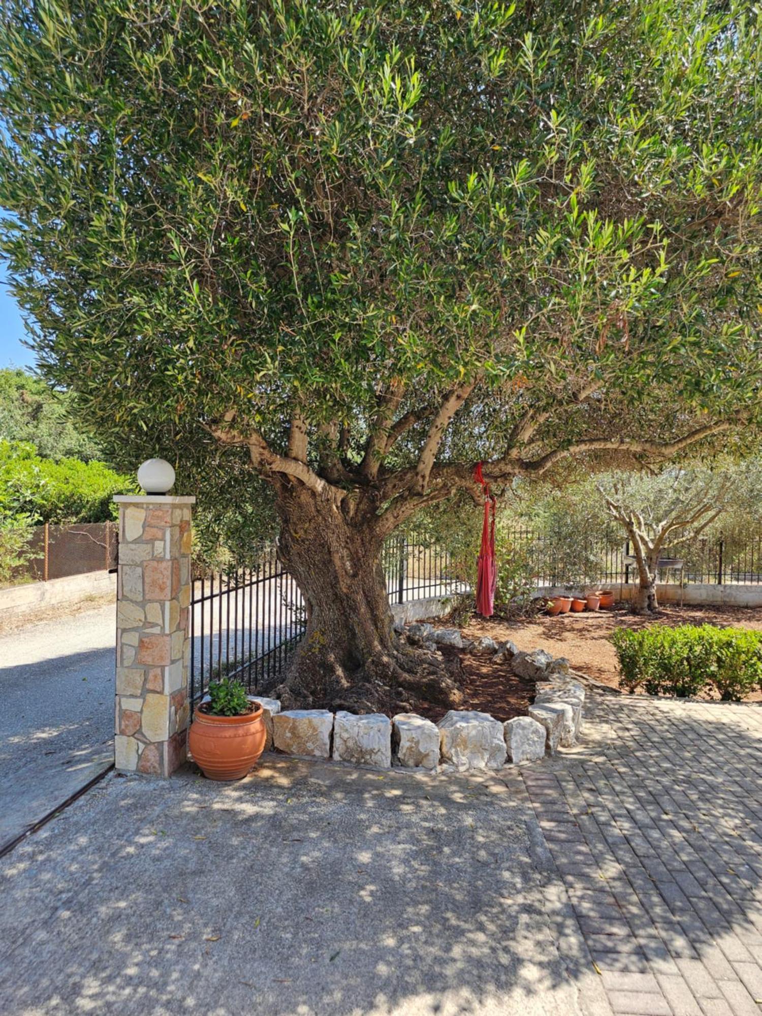 Natura Studios Antipata  Exterior foto